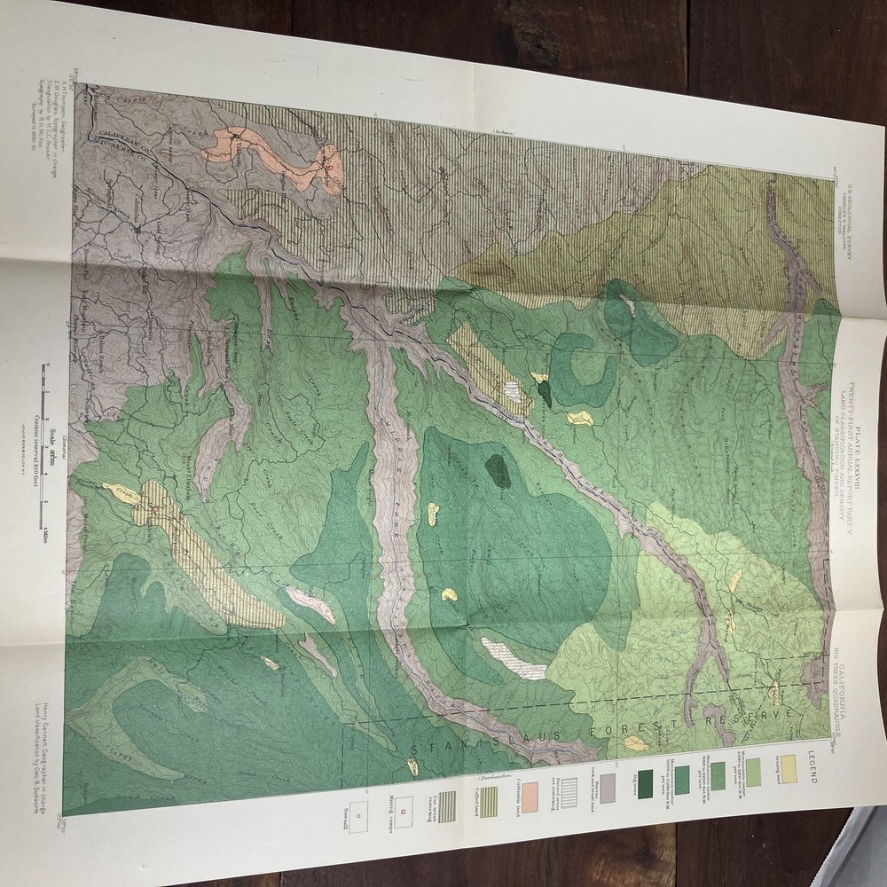 Vintage 1890s California Big Trees USGS Topographic Map Sierra Nevada Reserve